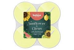 Σετ Αρωματικά Ρεσώ Bolsius Sunflower & Citrus 8τμχ
