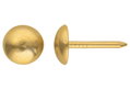 Καρφιά LUX 0 Φ6.5x8.5mm Χρυσό 40τμχ