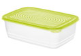 Φαγητοδοχείο Rotho Sunshine Πλαστικό 3.7lt Lime