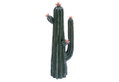 Διακοσμητική Φιγούρα Atmosphera Cactus 40cm