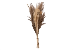 Διακοσμητικό Μπουκέτο Atmosphera Pampas 58cm