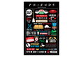 Αφίσα Pyramid Friends Infographic 91.5x61cm