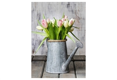 Καμβάς Ostaria Flower Chic 50x70cm σε 3 Σχέδια