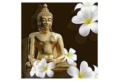 Καμβάς Ostaria Buddah 28x28cm σε 4 Σχέδια