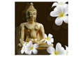 Καμβάς Ostaria Buddah 28x28cm σε 4 Σχέδια