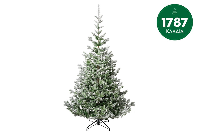 Χριστουγεννιάτικο Δέντρο Snowy Nobilis Pine 240cm