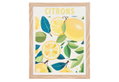 Κάδρο Ostaria Lemons 20x25cm