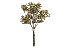 Συνθετικό Λουλούδι Eglo Living Semporna Καφέ 32cm