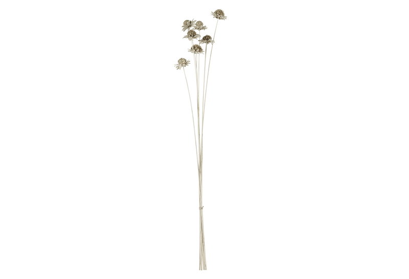 Αποξηραμένο Λουλούδι Eglo Living Alabel Natural 60cm