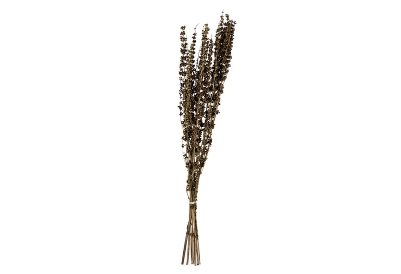 Αποξηραμένο Λουλούδι Eglo Living Ignace Καφέ 60cm