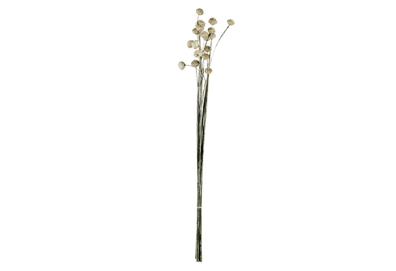Αποξηραμένο Λουλούδι Eglo Living Alabel Καφέ 60cm