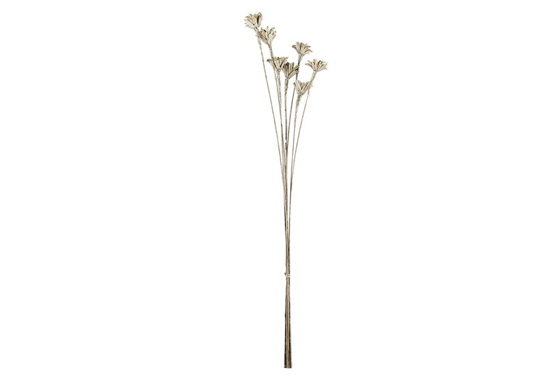Αποξηραμένο Λουλούδι Eglo Living Alabel Ασημί 60cm