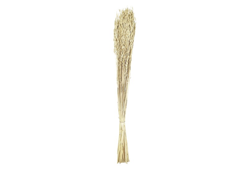 Αποξηραμένο Λουλούδι Eglo Living Guipos Natural 90cm