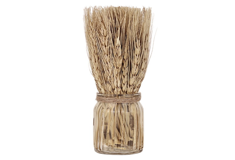 Αποξηραμένο Λουλούδι Eglo Living Caraquet σε Βάζο Natural 18cm