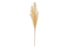 Συνθετικό Κλαδί Atmosphera Pampas Beige 90cm