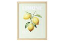 Κάδρο Eglo Living Tintane Lemons 33x43cm