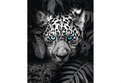 Αφίσα Miniposter 317 Leopard 40X50cm