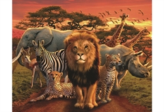 Αφίσα Miniposter 322 Animals 40X50cm