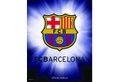 Αφίσα Miniposter 329 Fcb Barcelona 40X50cm