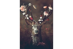 Αφίσα Miniposter 339 Deer 40X50cm