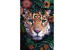 Αφίσα Miniposter 359 Leopard 40X50cm