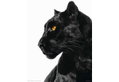 Αφίσα Miniposter Black Panther 40X50cm