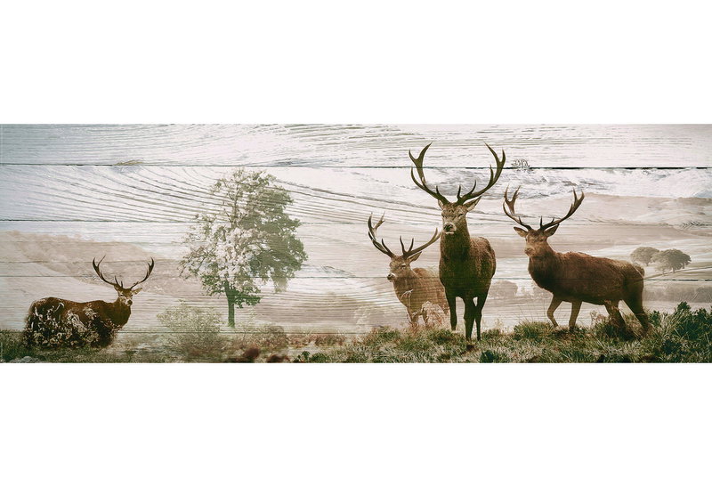 Αφίσα Jumbo 520 Ελάφια 158X53cm