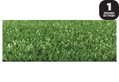 Συνθετικός Χλοοτάπητας Dizas Soil 2x1m με Ύψος Πέλους 6mm