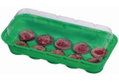 Θερμοκήπιο Μ26xΠ11xΥ7cm με 10 Pellets Κοκοφοίνικα