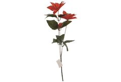 Αλεξανδρινό Κλαδί 66cm με 3 Λουδουδια
