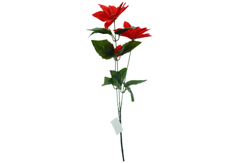 Αλεξανδρινό Κλαδί 66cm με 3 Λουδουδια