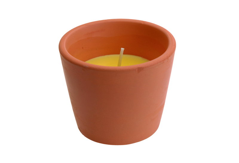 Citronella σε Κοντό Πήλινο Φ7,7X6,5cm