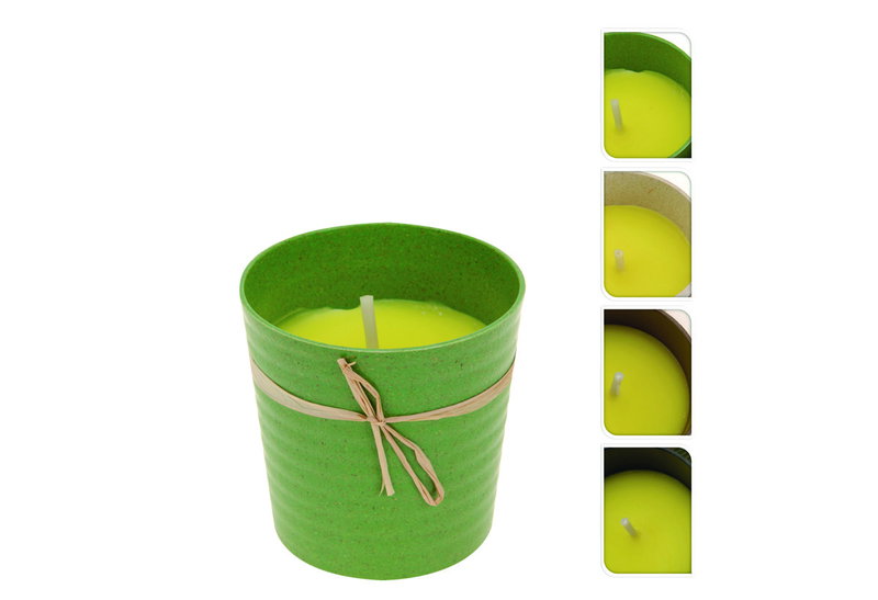 Citronella σε Κουβαδάκι 9,5Χ9Χ5 Διάφορα Χρώματα