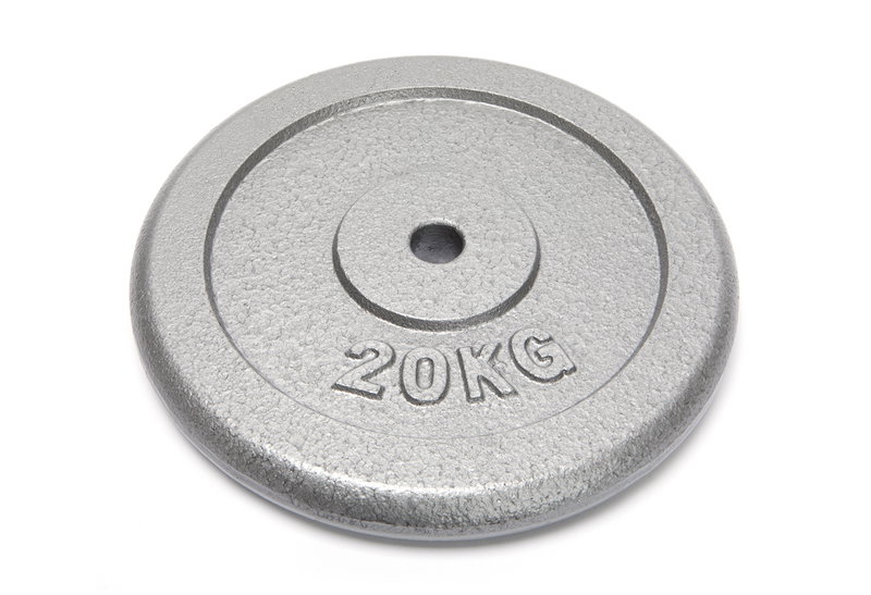 Δίσκος Μεταλλικός 20kg