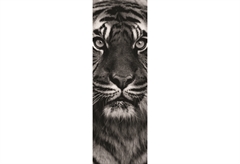 Καμβάς Ζωγραφικής Tiger 30X90cm